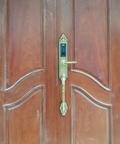 KHÓA VÂN TAY TÂN CỔ KASSLER KL-969C ( VÀNG ĐỒNG) - CHỐNG MƯA - 8 KASSLER KL-969C