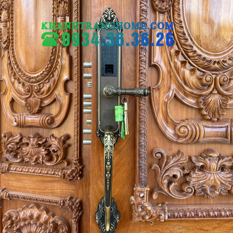KHÓA VÂN TAY TÂN CỔ VÂN TAY KASSLER KL-969GR - CHỐNG MƯA - 17 KHÓA VÂN TAY TÂN CỔ KASSLER KL-959C