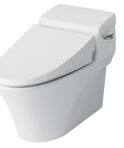 Bàn cầu 1 khối Inax AC-1017VRN