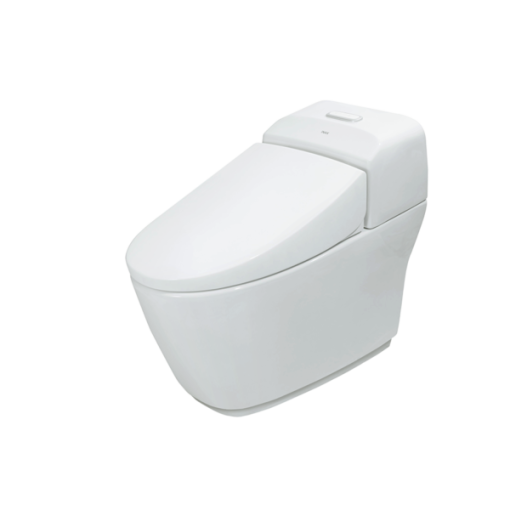 Bàn cầu 1 khối Inax AC-1032VN - 1