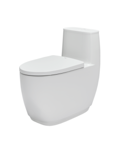 Bàn cầu 1 khối Inax AC-1052VN