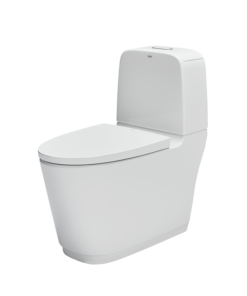 Bàn cầu 2 khối Inax AC-832VN