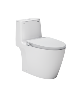 Bàn cầu kết hợp nắp rửa cơ Inax AC-902 +CW-S32VN