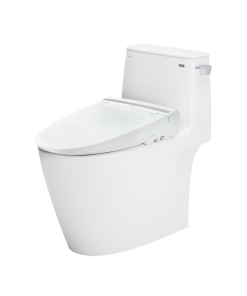 Bàn cầu kết hợp nắp rửa điện tử Inax AC-912+CW-KB22AVN