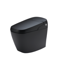 Bàn cầu thông minh Inax AC-G216VN/BKG