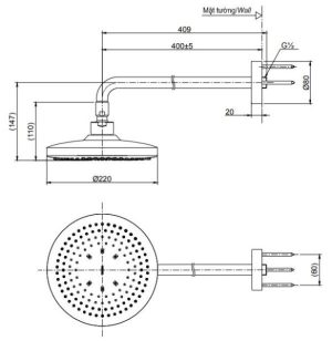 Bát sen gắn tường TOTO TBW01003A - 5