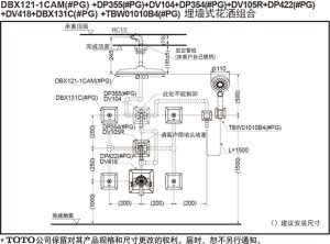 Sen tắm âm tường TOTO DBX121-1CAM#PG - 5