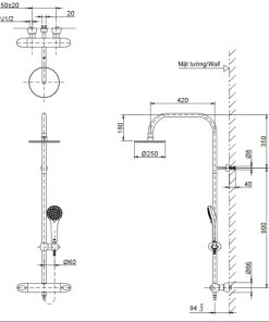 Sen cây nhiệt độ TOTO TX454SFV2BRS - 5