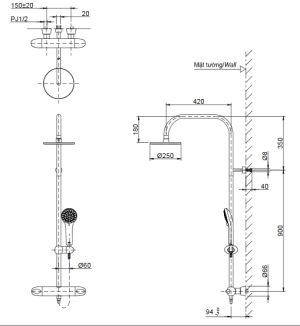 Sen cây nhiệt độ TOTO TX454SFV2BRS - 5