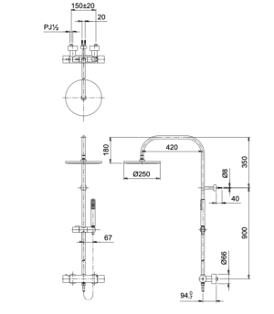 Sen cây nhiệt độ TOTO TX454SESV2BRS - 5