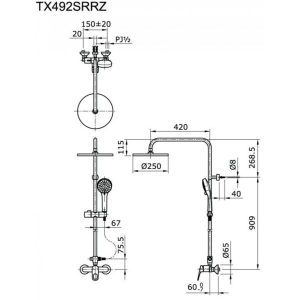 Sen cây nóng lạnh TOTO TX492SRRZ - 5