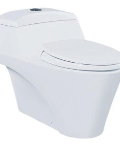 Bồn cầu 1 khối TOTO CW823W/F