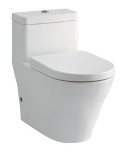 Bồn cầu TOTO CW166B/TC390CVK – Nắp êm