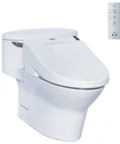 Bồn cầu 1 khối TOTO MS904W6