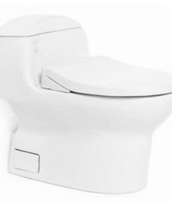 Bồn cầu 1 khối TOTO MS914E2