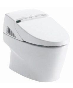 Bồn cầu điện tử TOTO NEOREST EX CS991TU/TCF9911A