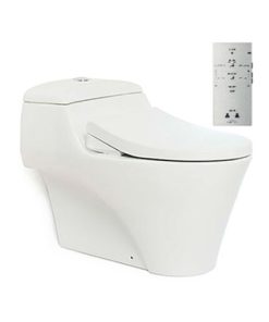 Bồn cầu 1 khối TOTO CW823W/FW4
