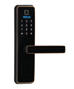 Phglock-Khóa vân tay FP6011 - 5