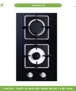 Bếp gas domino FASTER FS-320DG
