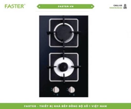 Bếp gas domino FASTER FS-320DG - 1