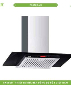 Máy hút mùi gắn tường FASTER FS 70/90 EFN