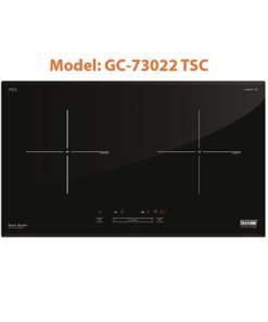 Bếp Từ Giovani GC-73022TSC
