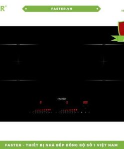 Bếp từ FASTER nhập khẩu Malaysia FS 660I