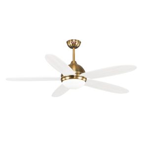 Quạt trần Daisy WH Mr Vũ Fan - 13