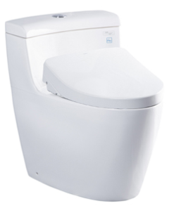 Bồn cầu 1 khối TOTO MS636DW4 nắp Washlet