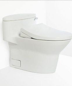 Bồn cầu 1 khối TOTO MS904W4