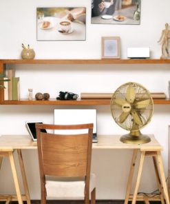 Quạt bàn Memory Mr Vũ Fan - 17