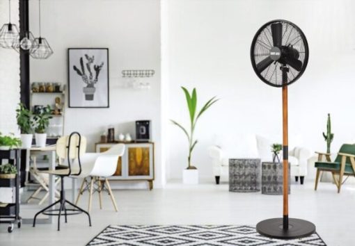 Quạt cây Windy Mr Vũ Fan - 11