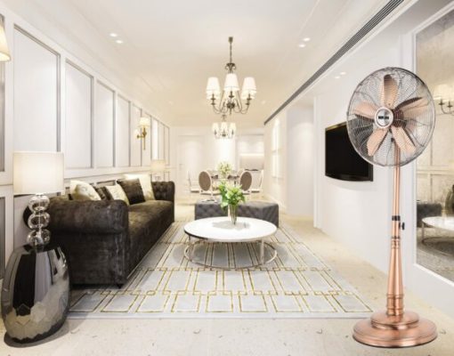 Quạt cây Memory Mr Vũ Fan - 11