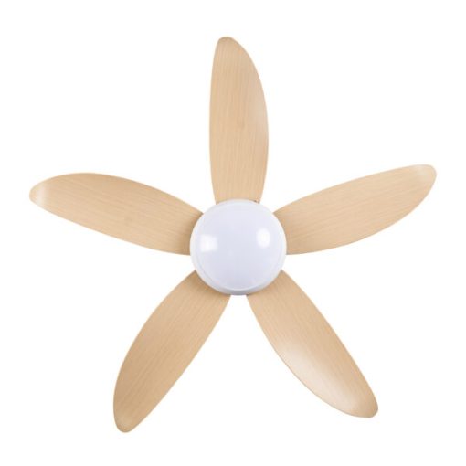 Quạt trần CORA 40 MP Mr Vũ Fan - 5