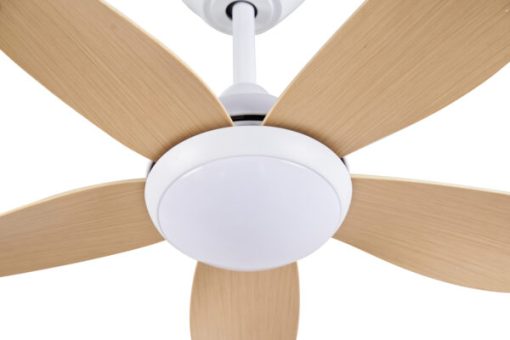 Quạt trần CORA 40 MP Mr Vũ Fan - 7