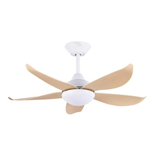Quạt trần CORA 40 MP Mr Vũ Fan - 19