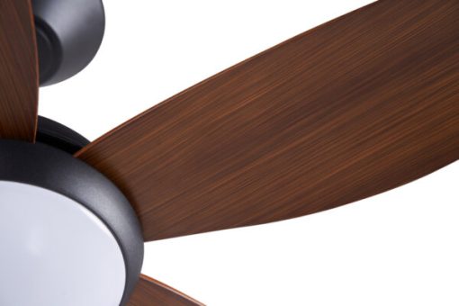 Quạt trần CORA 40 WN Mr Vũ Fan - 13