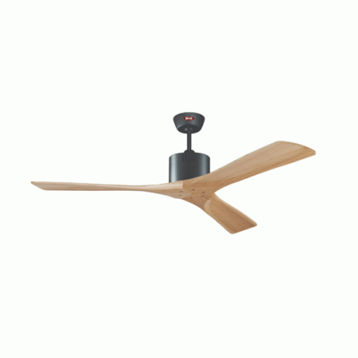 Quạt trần Solid WN Mr Vũ Fan - 17
