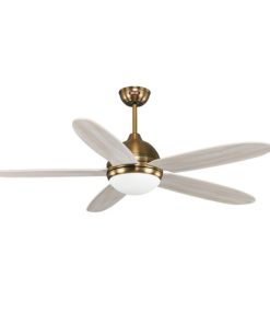 Quạt trần Daisy WH Mr Vũ Fan - 16 Quạt trần Daisy WH Mr Vũ Fan - 15