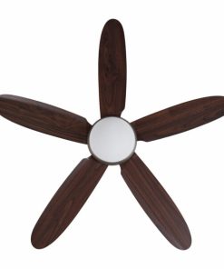 Quạt trần Daisy SO Mr Vũ Fan - 30 Quạt trần Daisy SO Mr Vũ Fan - 29