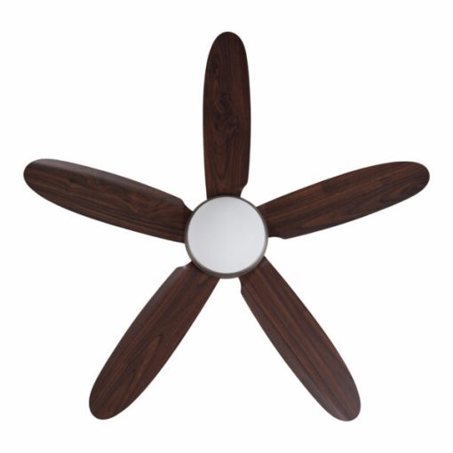Quạt trần Daisy SO Mr Vũ Fan - 5