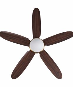 Quạt trần Daisy Gold Mr Vũ Fan - 20 Quạt trần Daisy Gold Mr Vũ Fan - 19
