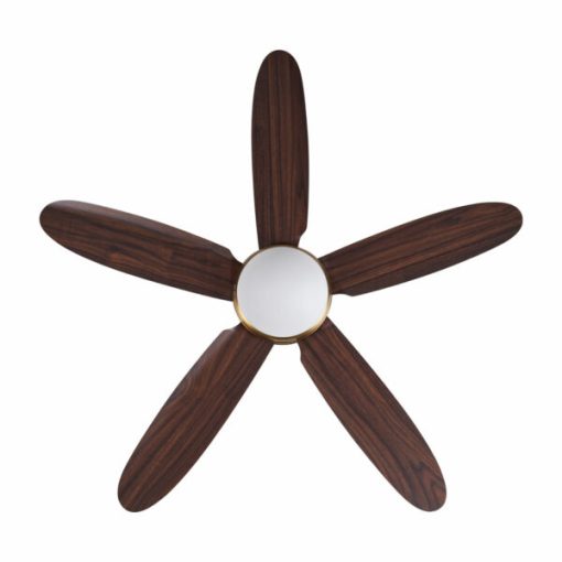 Quạt trần Daisy Gold Mr Vũ Fan - 5