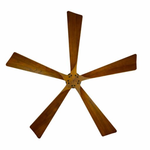 Quạt trần CANDY WN Mr Vũ Fan - 5