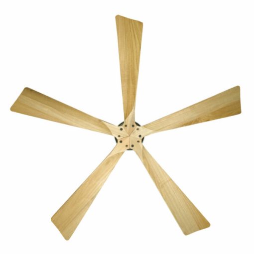 Quạt trần CANDY MP Mr Vũ Fan - 5
