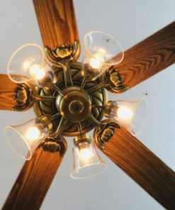 Quạt trần Lotus Gold Mr Vũ Fan - 40 Quạt trần Lotus Gold Mr Vũ Fan - 39