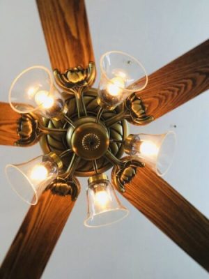 Quạt trần Lotus Gold Mr Vũ Fan - 39