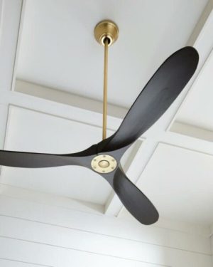 QUẠT EAGLE 60 MB Mr Vũ Fan - 25