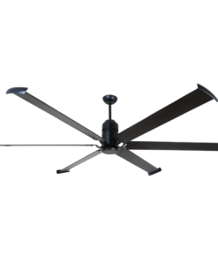Quạt cánh lớn Fortis Mr Vũ Fan - 8 Quạt cánh lớn Fortis Mr Vũ Fan - 7