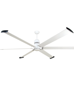 Quạt cánh lớn Fortis Mr Vũ Fan - 10 Quạt cánh lớn Fortis Mr Vũ Fan - 9